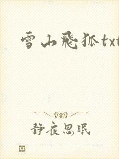 雪山飞狐txt