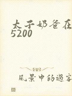 太子奶爸在花都5200封面