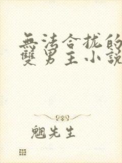 无法合拢的总裁双男主小说