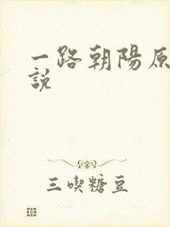一路朝阳原著小说封面