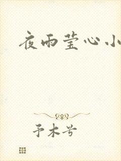 夜雨莹心小说