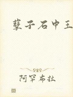 孽子石中玉