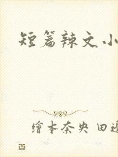 短篇辣文小说