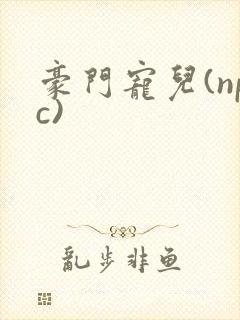 豪门宠儿(npc)
