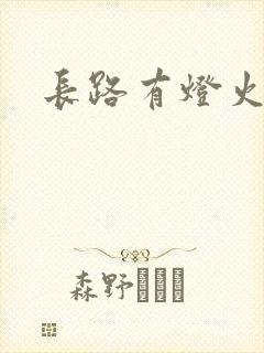 长路有灯火封面