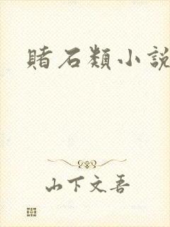 赌石类小说