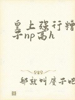 皇上强行糟蹋太子np高h