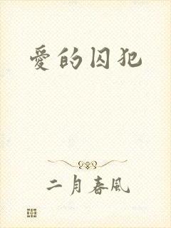爱的囚犯封面