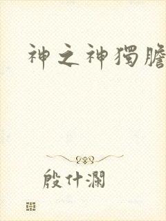 神之神独胆王封面