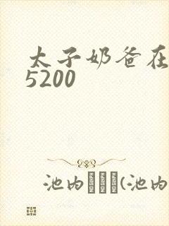 太子奶爸在花都5200