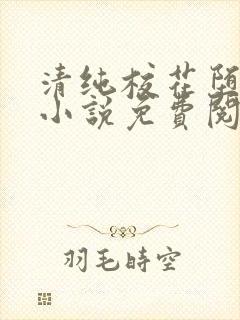 清纯校花堕落记小说免费阅读