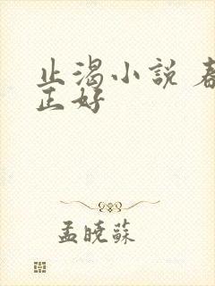 止渴小说 春光正好
