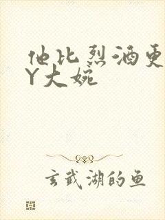 他比烈酒更撩BY大婉