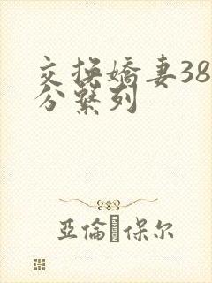 交换娇妻38部分系列封面