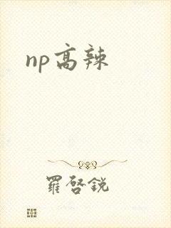 np高辣封面