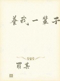 养我一辈子封面