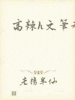 高辣h文笔趣阁