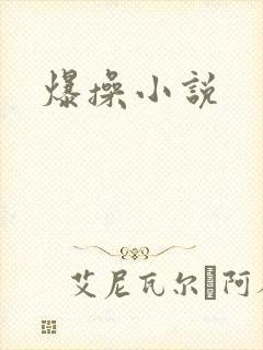 爆操小说