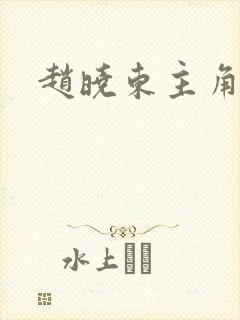 赵晓东主角小说