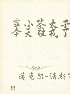 宁小茶太子殿下今天破戒了吗免费阅读