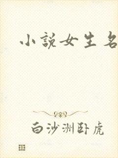 小说女生名字封面