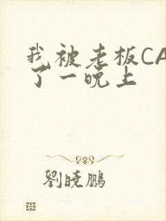 我被老板CAO了一晚上封面