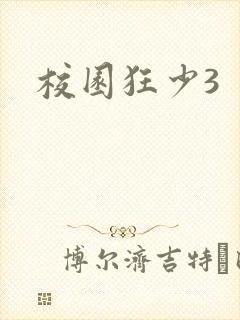 校园狂少3