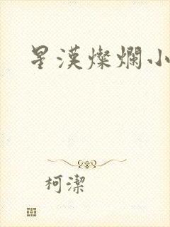 星汉灿烂小说