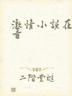 激情小说在线观看