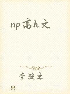 np高h文封面