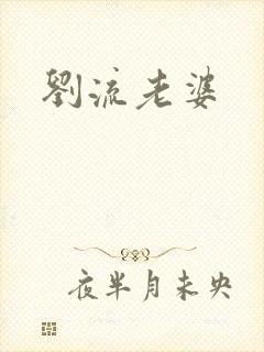 刘流老婆封面