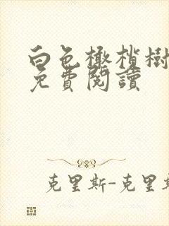 白色橄榄树全文免费阅读