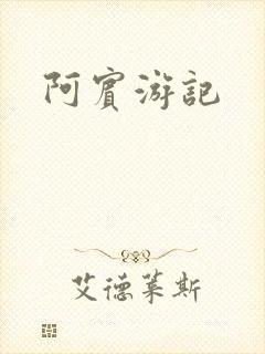 阿宾游记封面