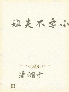 姐夫不要小说