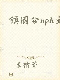 镇国公nph文
