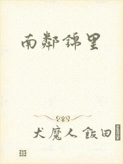 南邻锦里封面