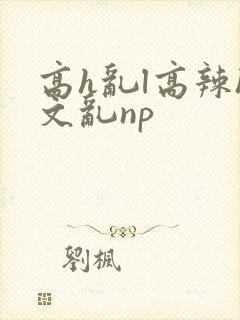 高h乱l高辣h文乱np