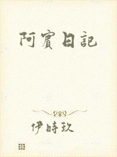 阿宾日记封面
