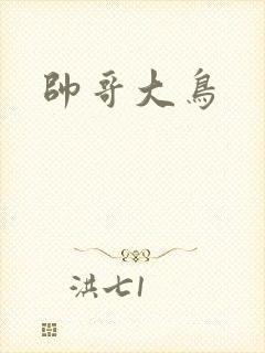 帅哥大鸟
