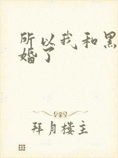 所以我和黑粉结婚了