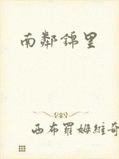 南邻锦里封面
