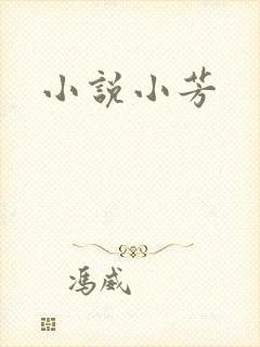 小说小芳