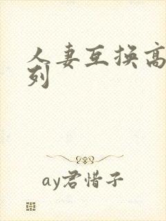 人妻互换高h系列