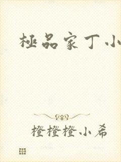 极品家丁小说