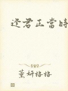 逢君正当时封面