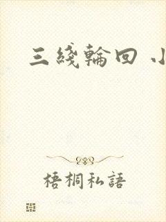 三线轮回 小说封面