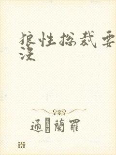 狼性总裁要够了没