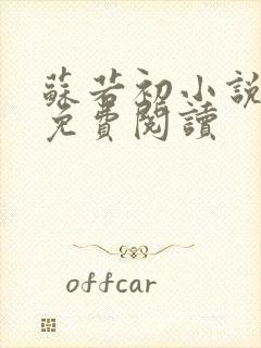 苏若初小说全文免费阅读封面