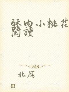 酥肉小桃花全文阅读