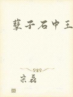 孽子石中玉